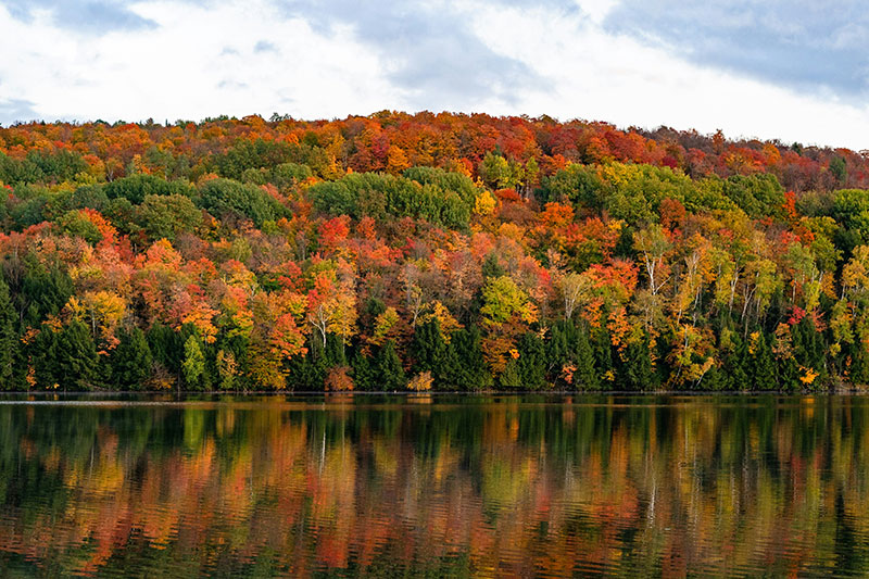 new england foliage